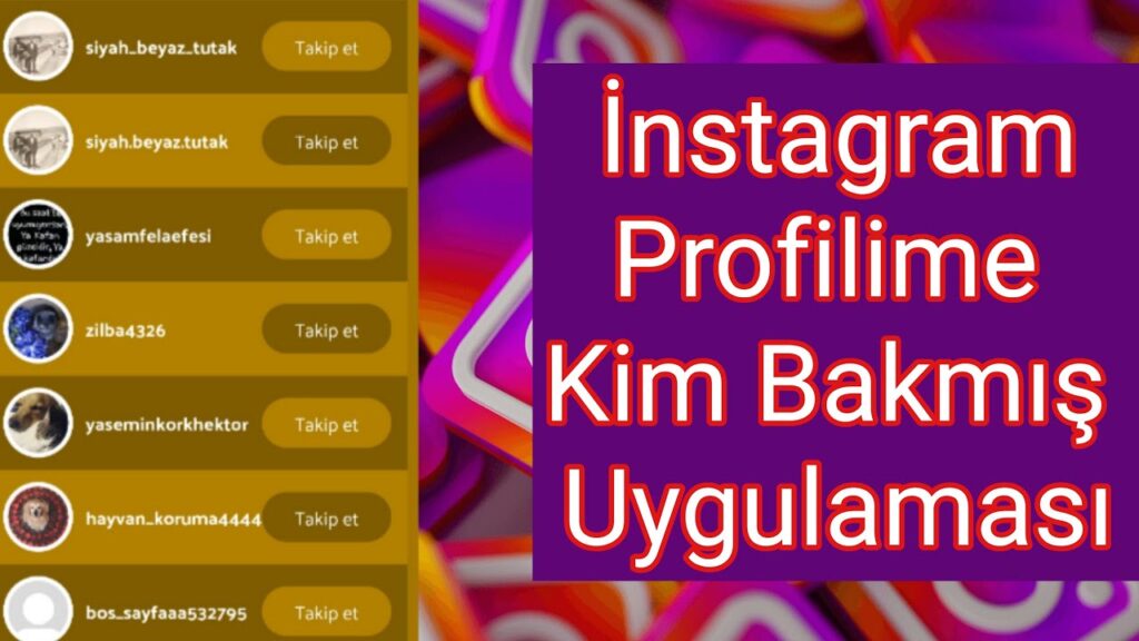 Instagram Profilime Kim Baktı