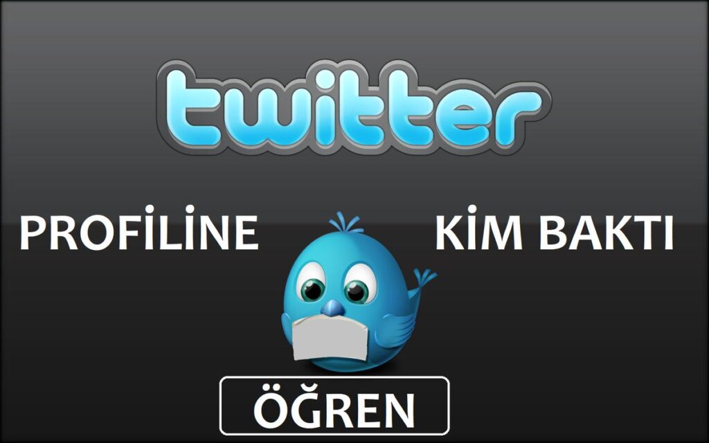 Twitter Profilime Kim Baktı