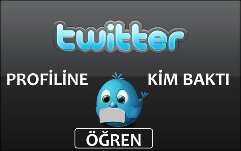 Twitter Profilime Kim Baktı