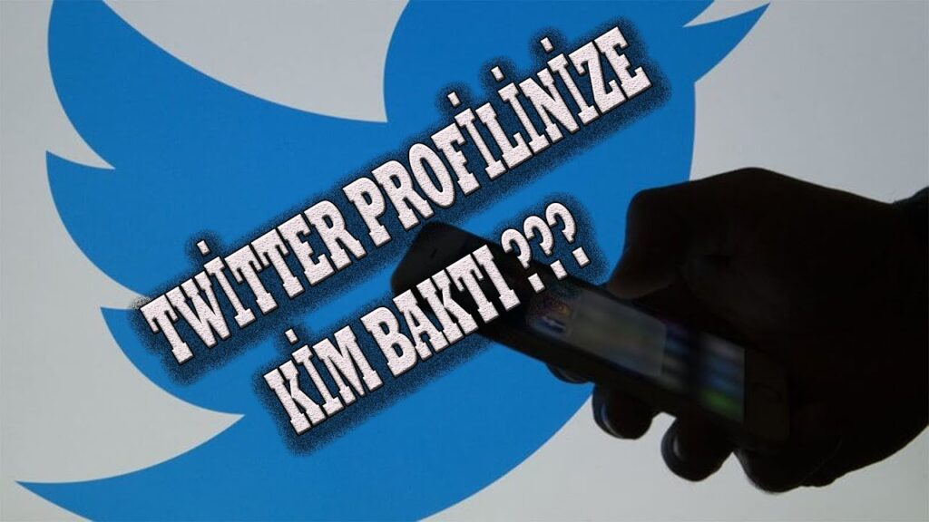 Twitter Profilime Kim Baktı