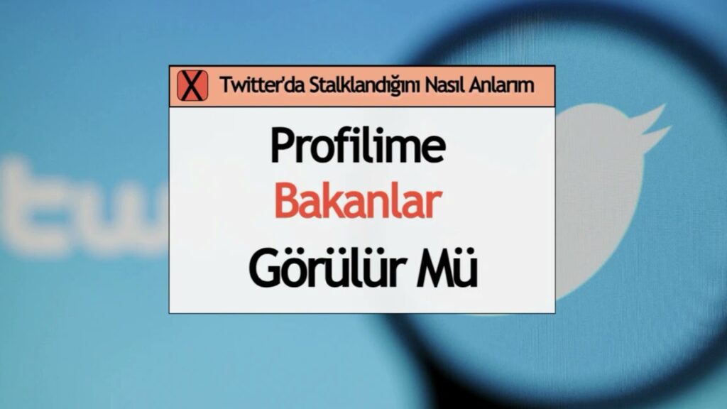 Twitter Profilime Kim Baktı